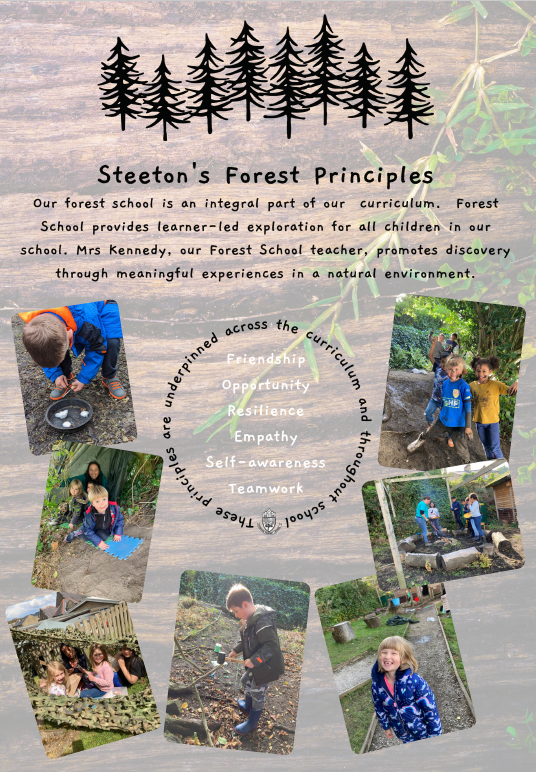 Forest School Steeton Primary School